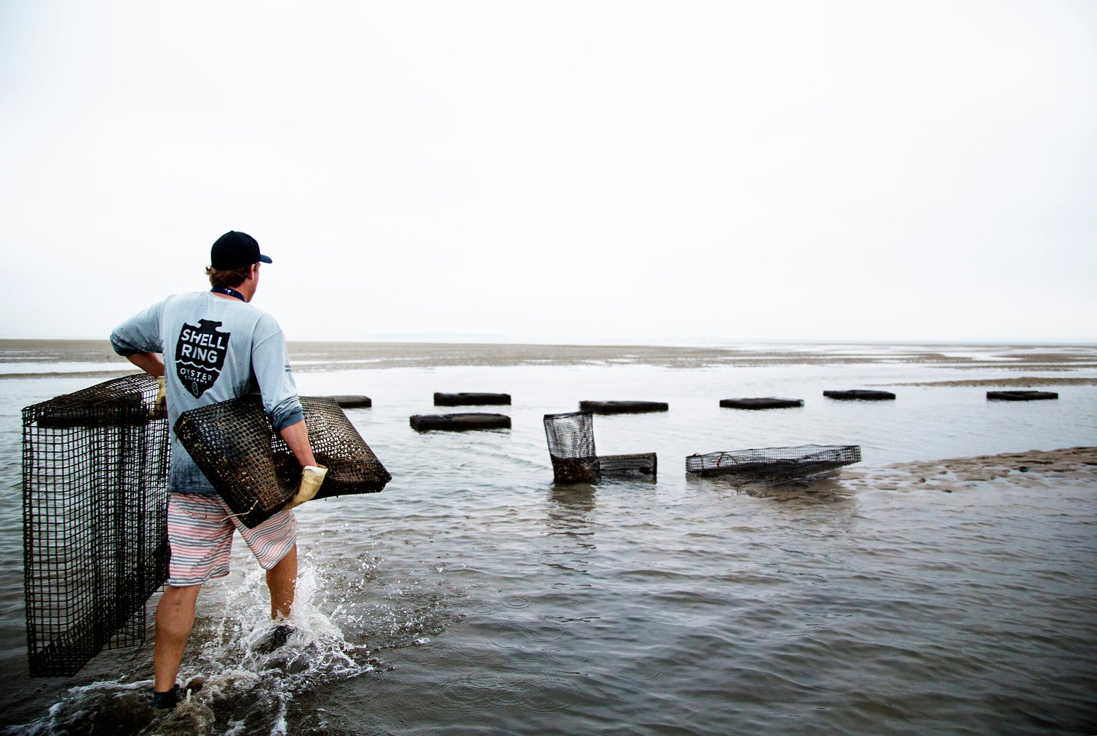 Shell Ring Oyster Company