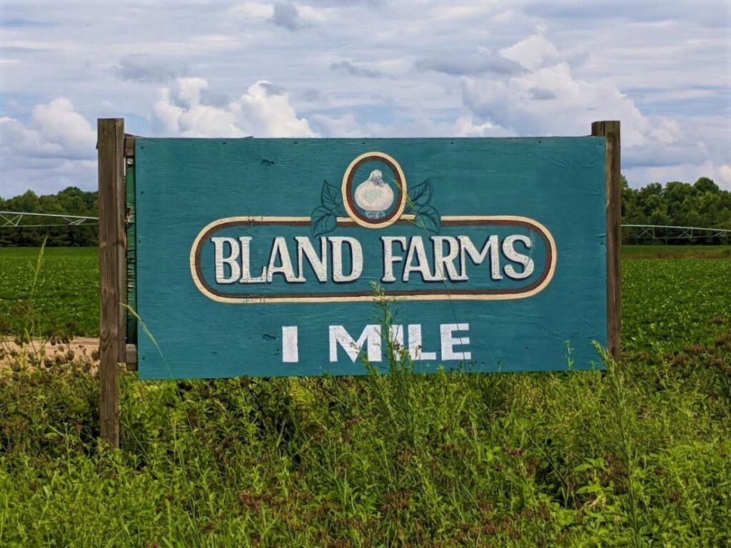 Sweet Onion Bland Farms Sign