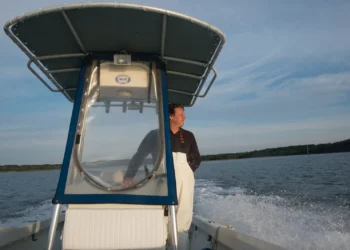 Shell Ring Oyster Feature