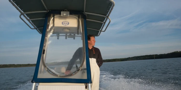 Shell Ring Oyster Feature