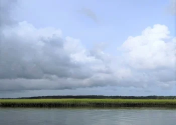 Sailing In Savannah Feature