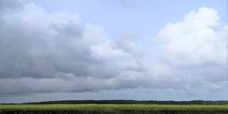 Sailing In Savannah Feature