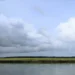 Sailing In Savannah Feature