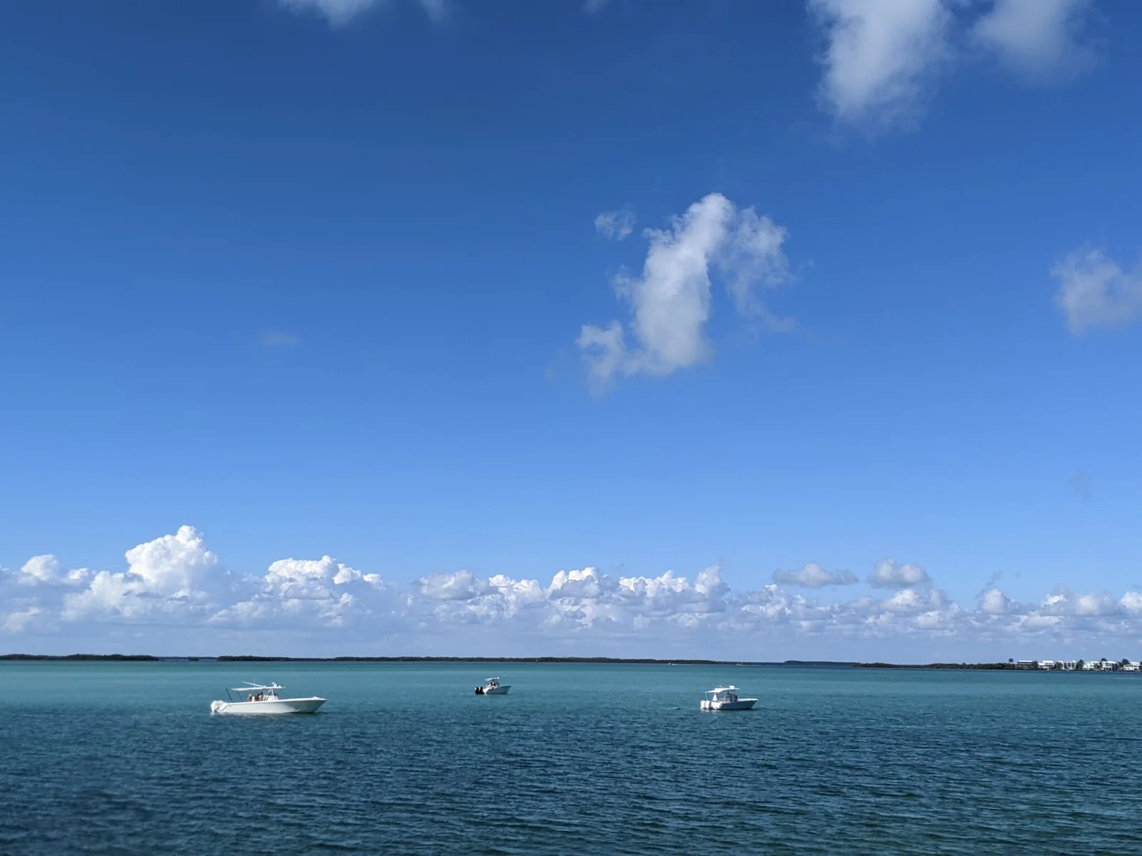 Florida Keys Feature
