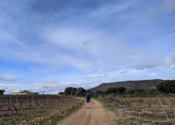 Northern Spain Feature