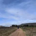 Northern Spain Feature