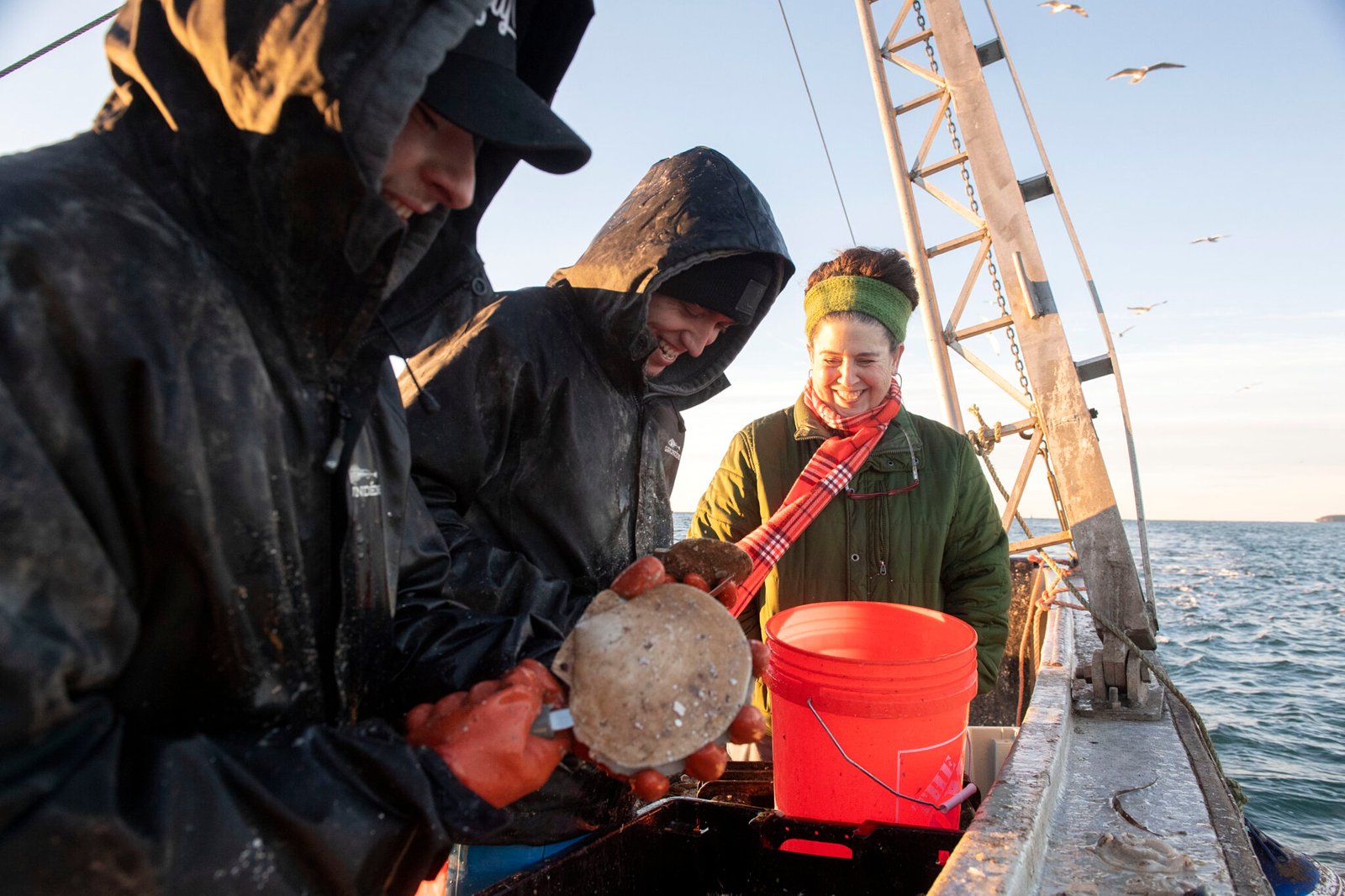 playground-earth | tide to table dayboat scallops