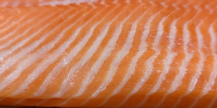 Honolulu Fish Company Feature