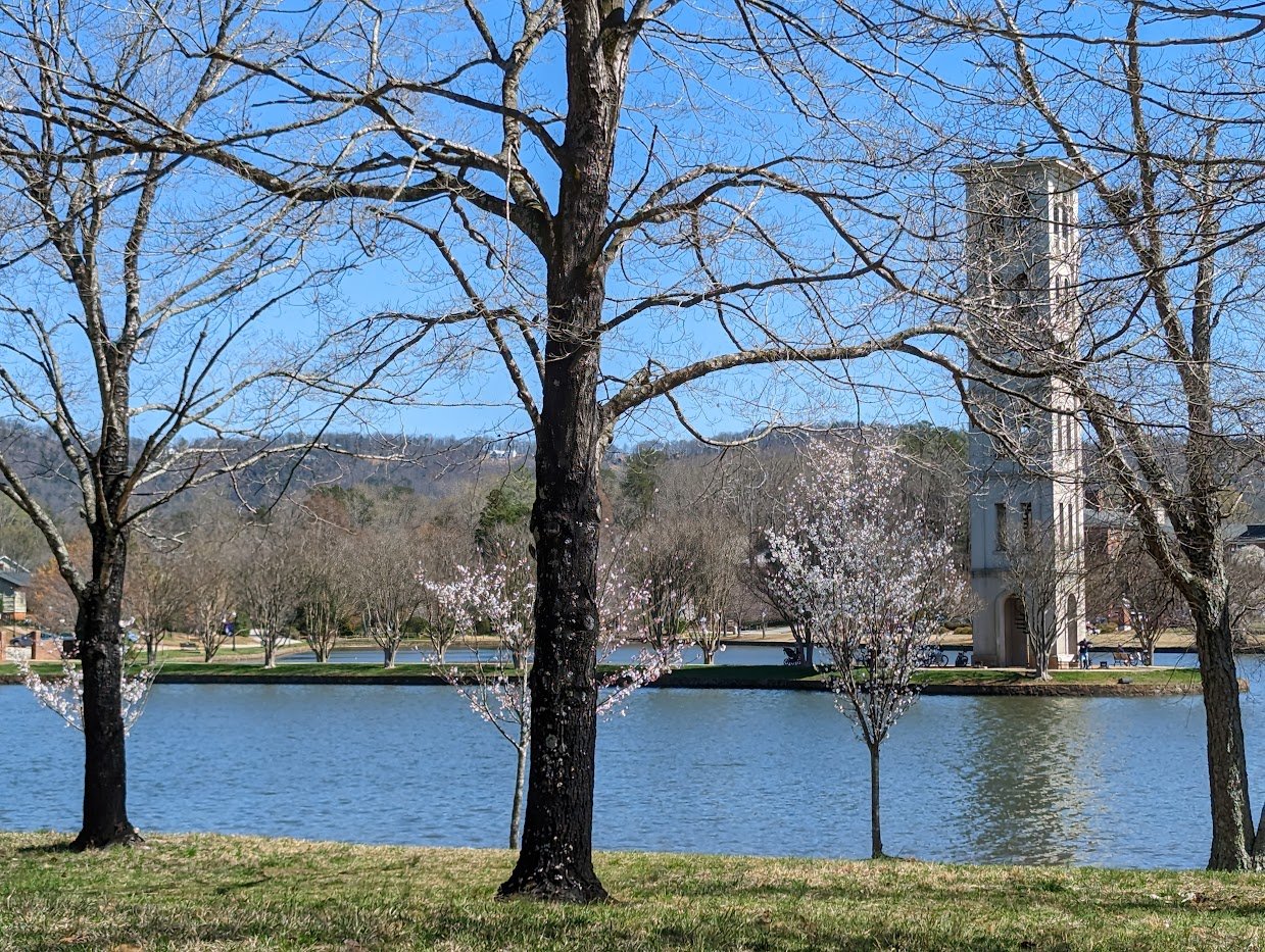 Swamp Rabbit Trail