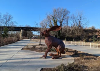 Swamp Rabbit Trail Feature
