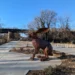 Swamp Rabbit Trail Feature