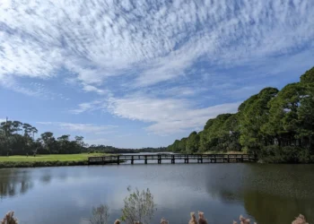 Kiawah Island Feature