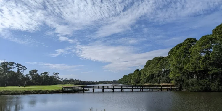 Kiawah Island Feature