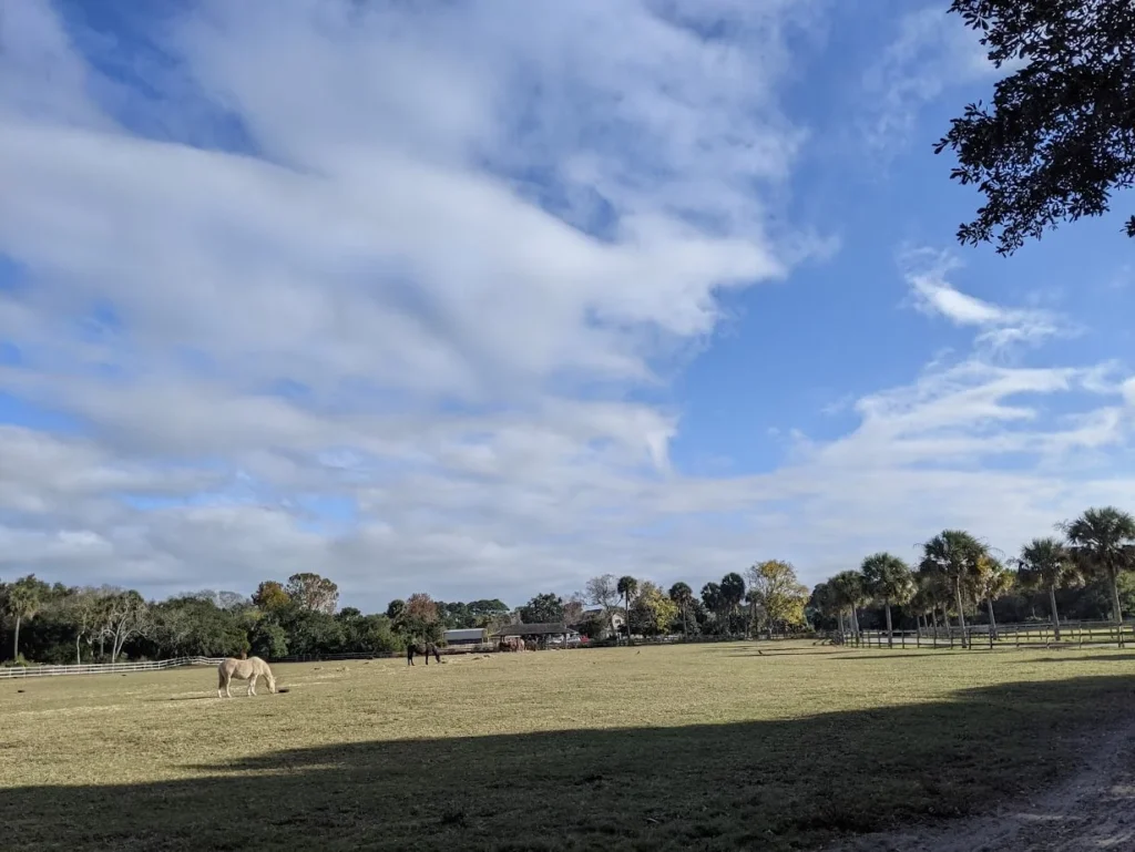 Biking on Kiawah Island