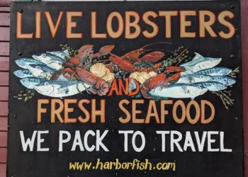 Portland Maine Feature