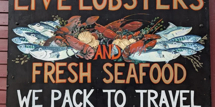 Portland Maine Feature