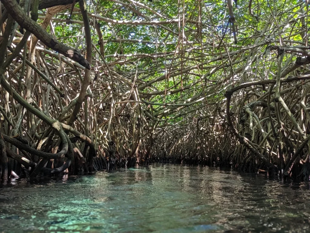 Exploring the underground rivers of Xcaret