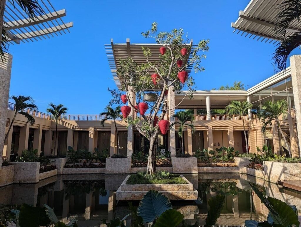 Red-flowered tree in a courtyard at B