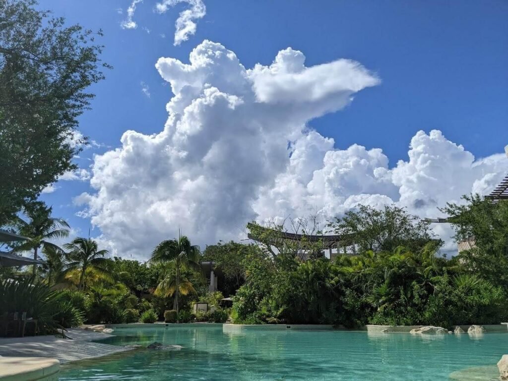 Resort pool with lush green trees
