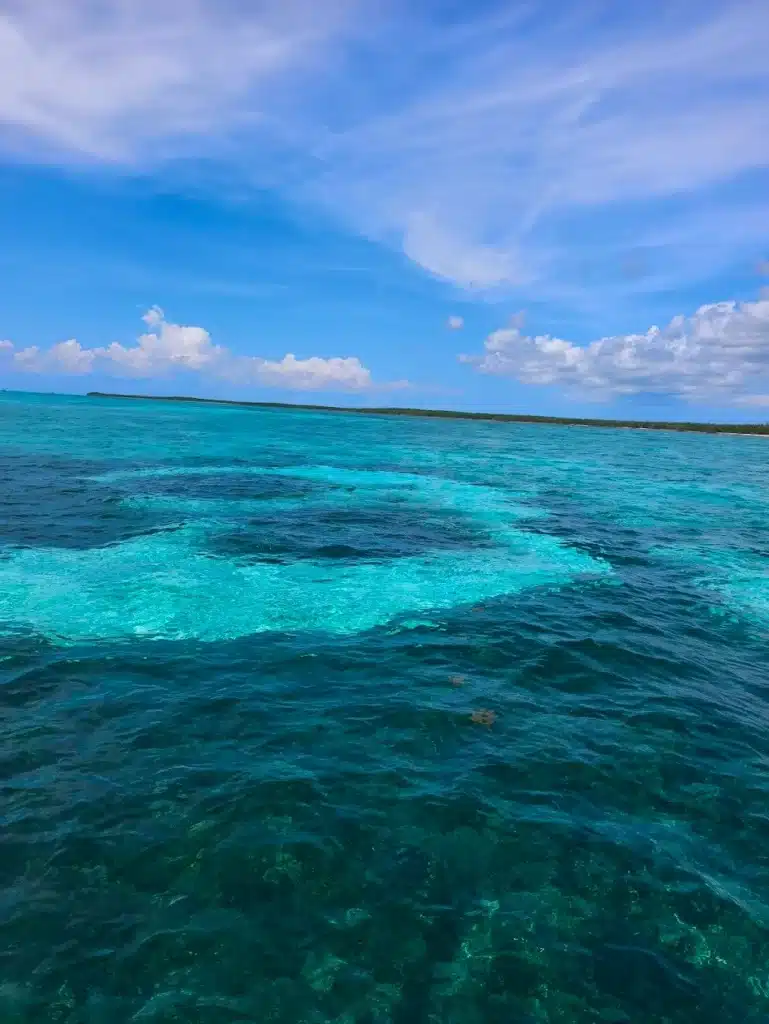 Mexican Adventure Tours. Cozumel Waters