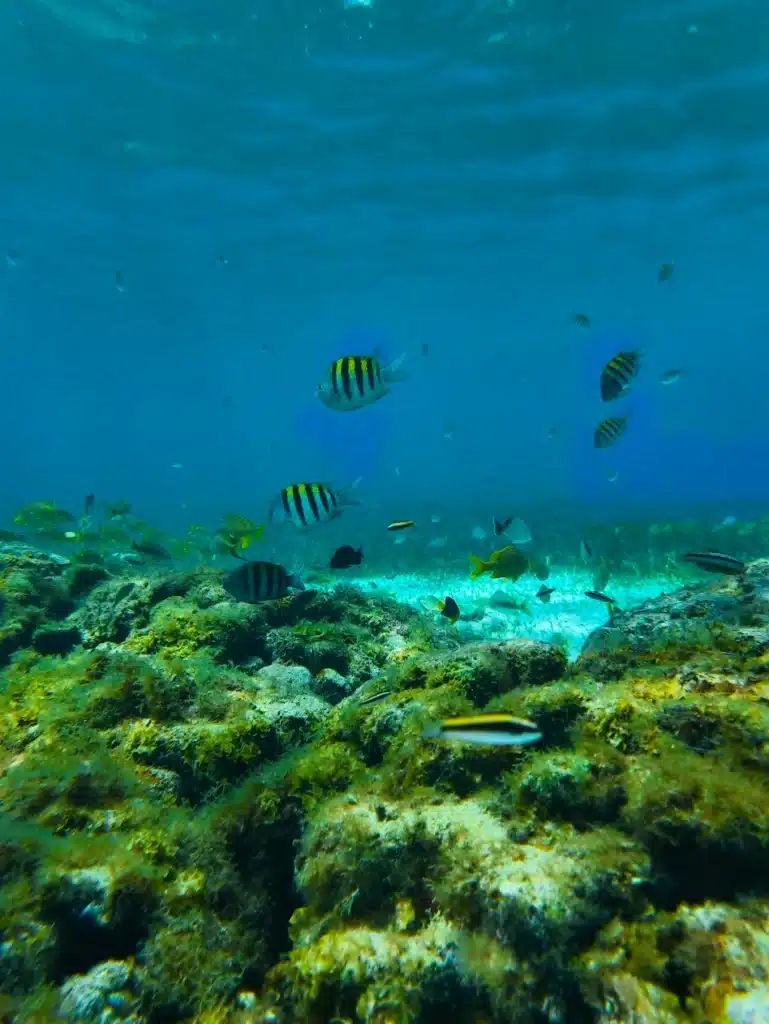 Blue clean water